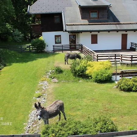 Ski-to-door Dorfblick Diamant *